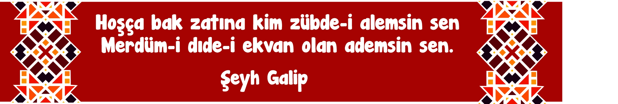 Edebiyat Sokağı Kiriş Yazısı