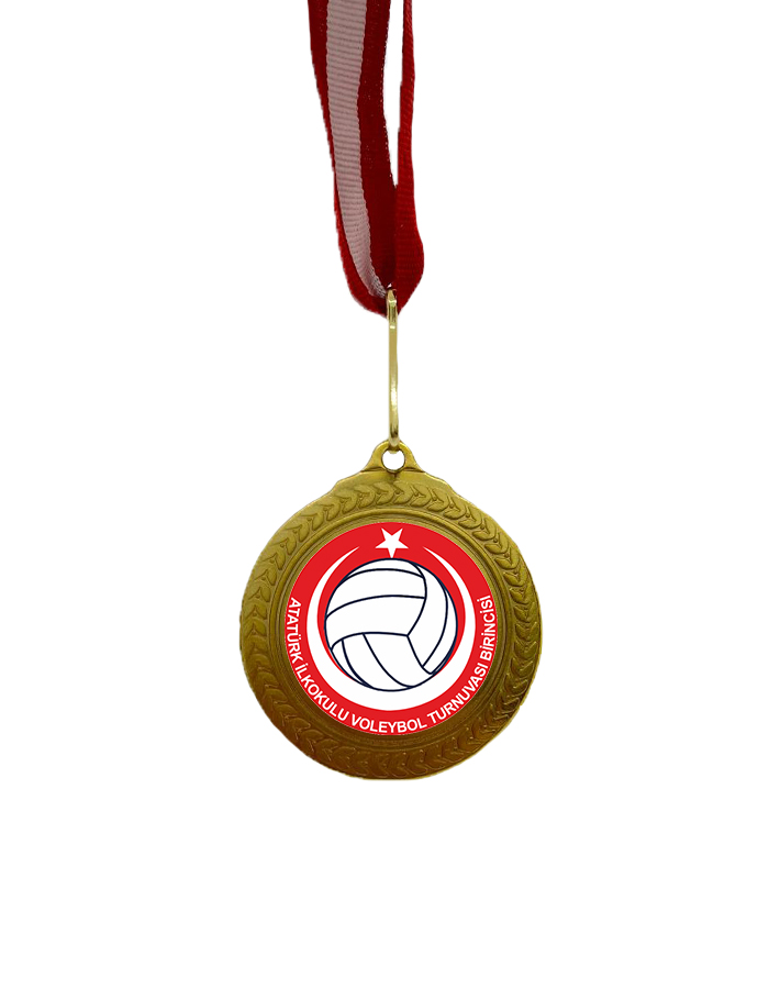 Voleybol Madalyası 1