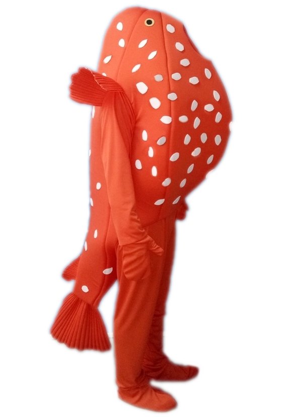 Balon Balığı Kostümü