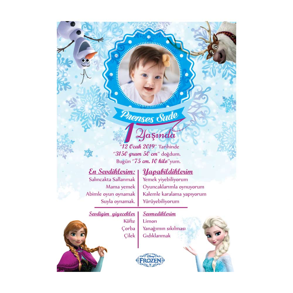Kişiye Özel Frozen Temalı Doğum Günü Afişi (30x42cm)