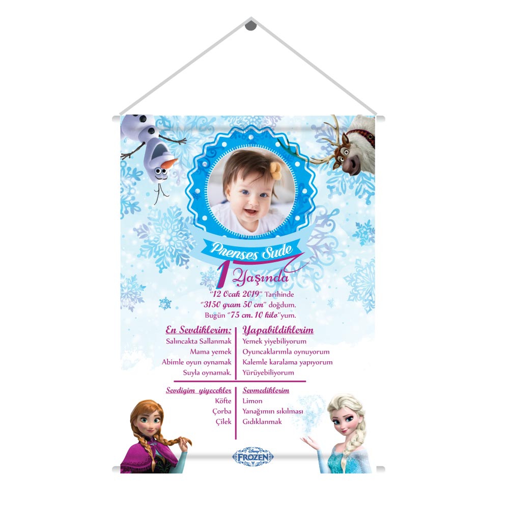 Kişiye Özel Frozen Temalı Doğum Günü Afişi Kumaş Baskı (30x42cm)