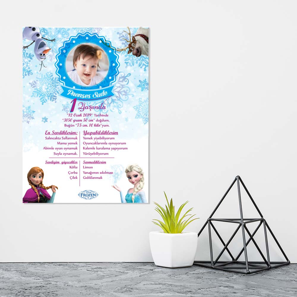 Kişiye Özel Frozen Temalı Doğum Günü Afişi (30x42cm)