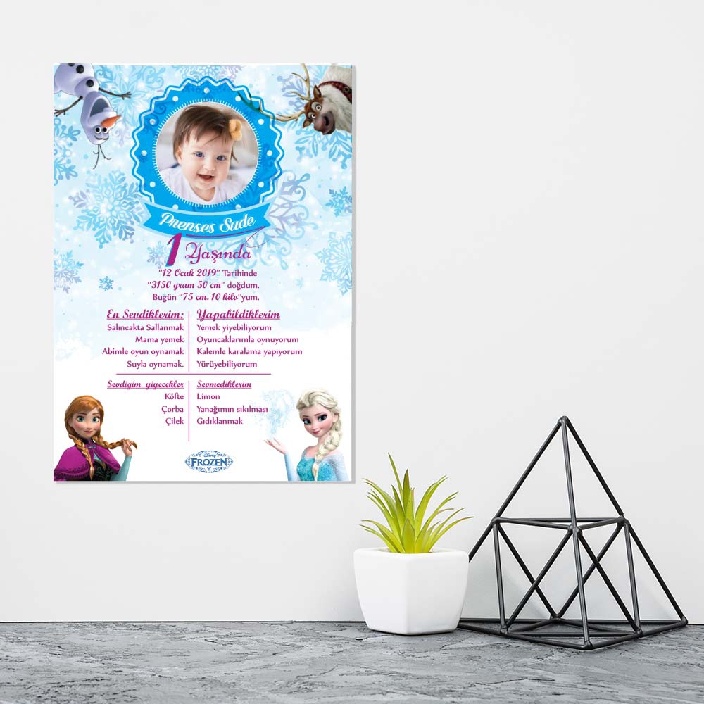 Kişiye Özel Frozen Temalı Doğum Günü Afişi (30x42cm)