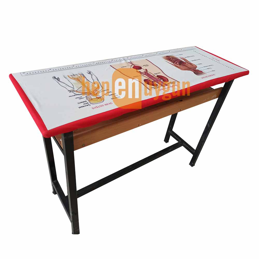 Gizil Öğrenme Baskılı Sıra Örtüsü - (Sindirim Sistemi)