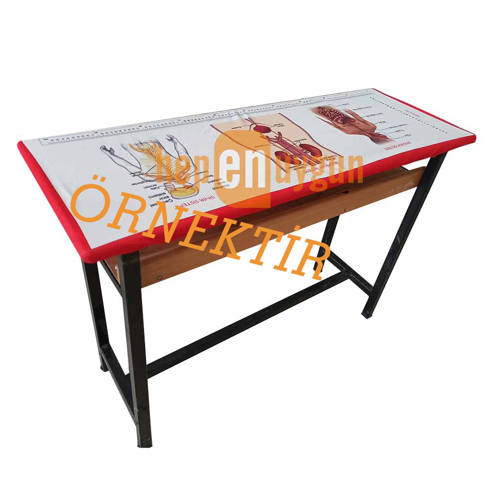 Gizil Öğrenme Baskılı Sıra Örtüsü (İngilizce - Jobs)