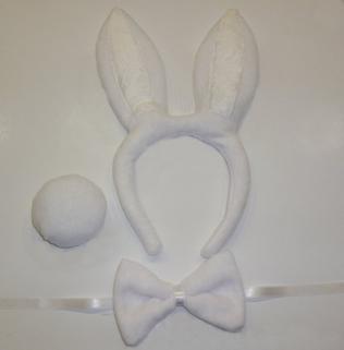 Tavşan Kostüm Set