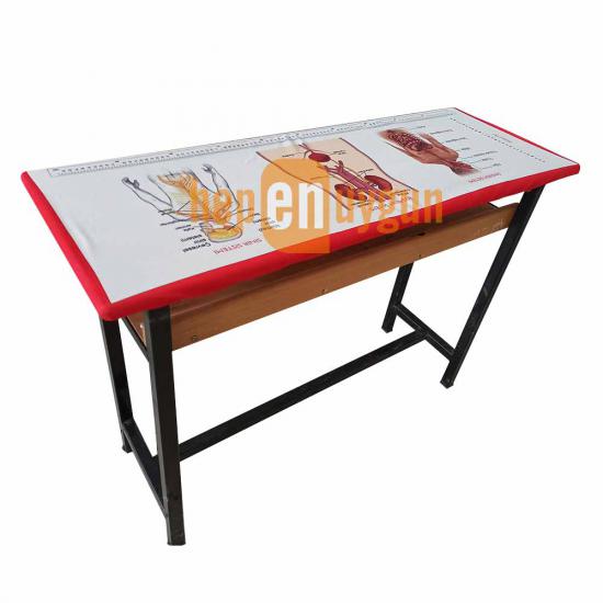 Gizil Öğrenme Baskılı Sıra Örtüsü - (Sindirim Sistemi)