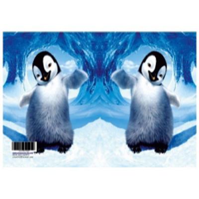 Karne Kabı & Karne Kılıfı