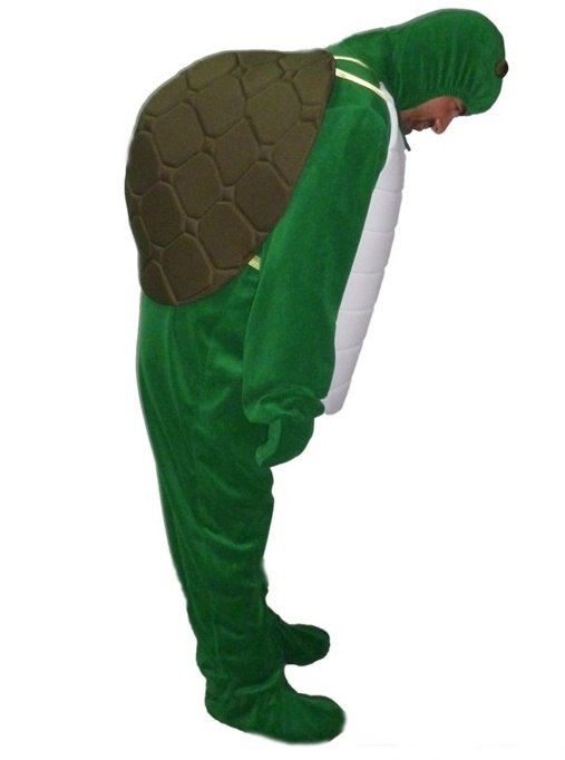 Kaplumbağa Kostümü Yetişkin